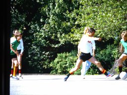 0DIA 1984 RAVA PUPS 1